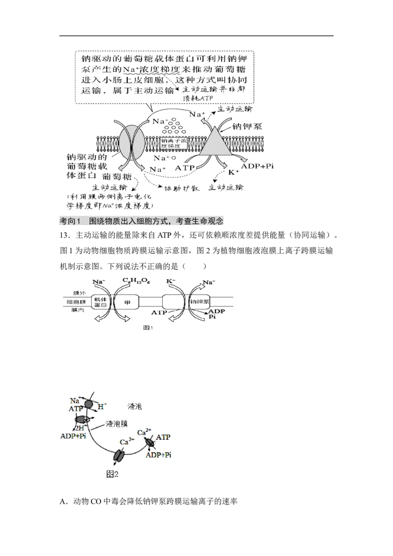 专题一细胞的分子组成、结构和物质运输（原卷版）_新高考复习资料_2023年新高考复习资料_二轮复习_过二轮备战2023年高考生物二轮专题剖析与综合训练（新教材）