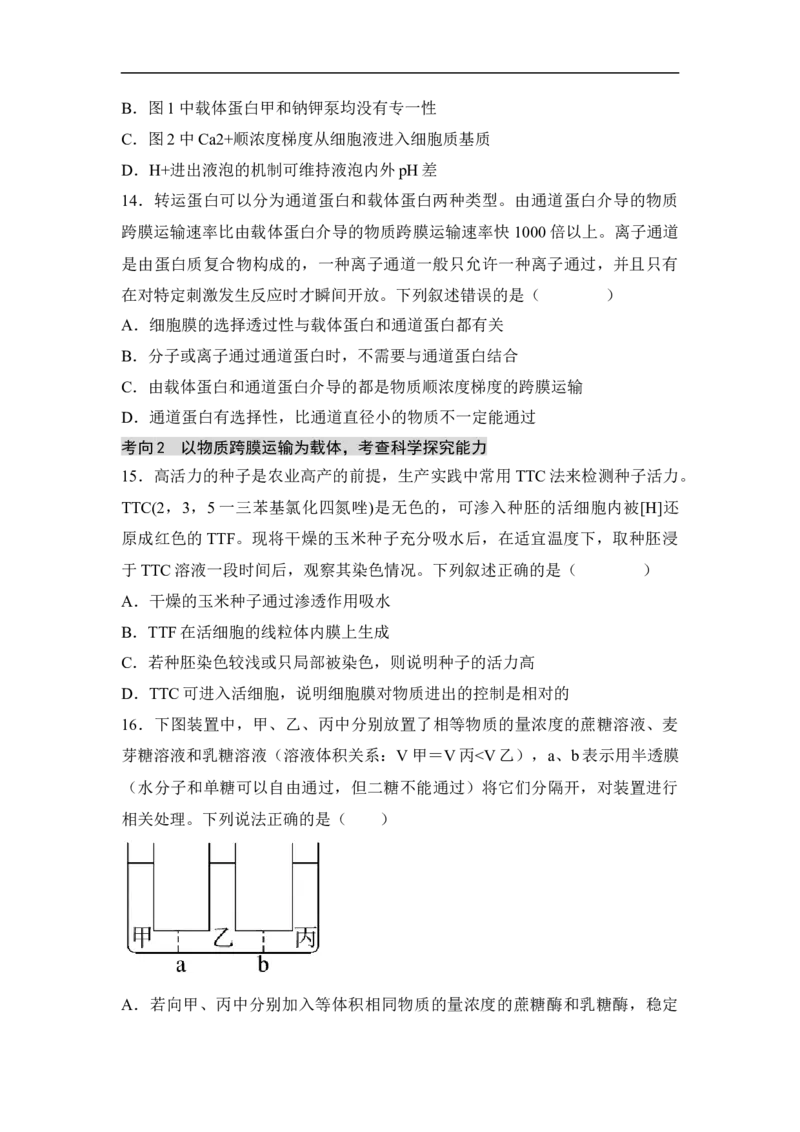 专题一细胞的分子组成、结构和物质运输（原卷版）_新高考复习资料_2023年新高考复习资料_二轮复习_过二轮备战2023年高考生物二轮专题剖析与综合训练（新教材）