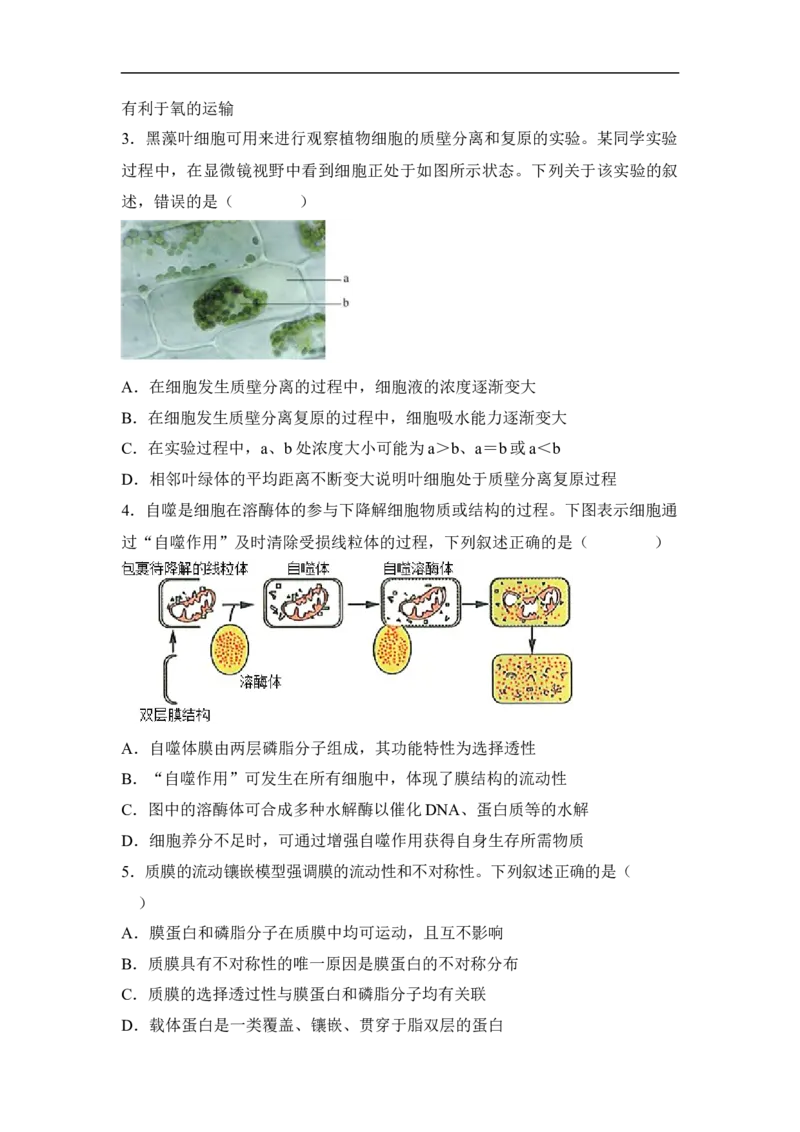 专题一细胞的分子组成、结构和物质运输（原卷版）_新高考复习资料_2023年新高考复习资料_二轮复习_过二轮备战2023年高考生物二轮专题剖析与综合训练（新教材）