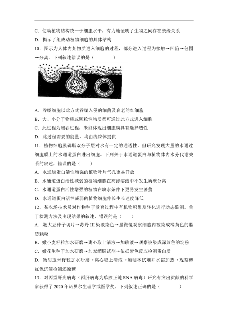 专题一细胞的分子组成、结构和物质运输（原卷版）_新高考复习资料_2023年新高考复习资料_二轮复习_过二轮备战2023年高考生物二轮专题剖析与综合训练（新教材）
