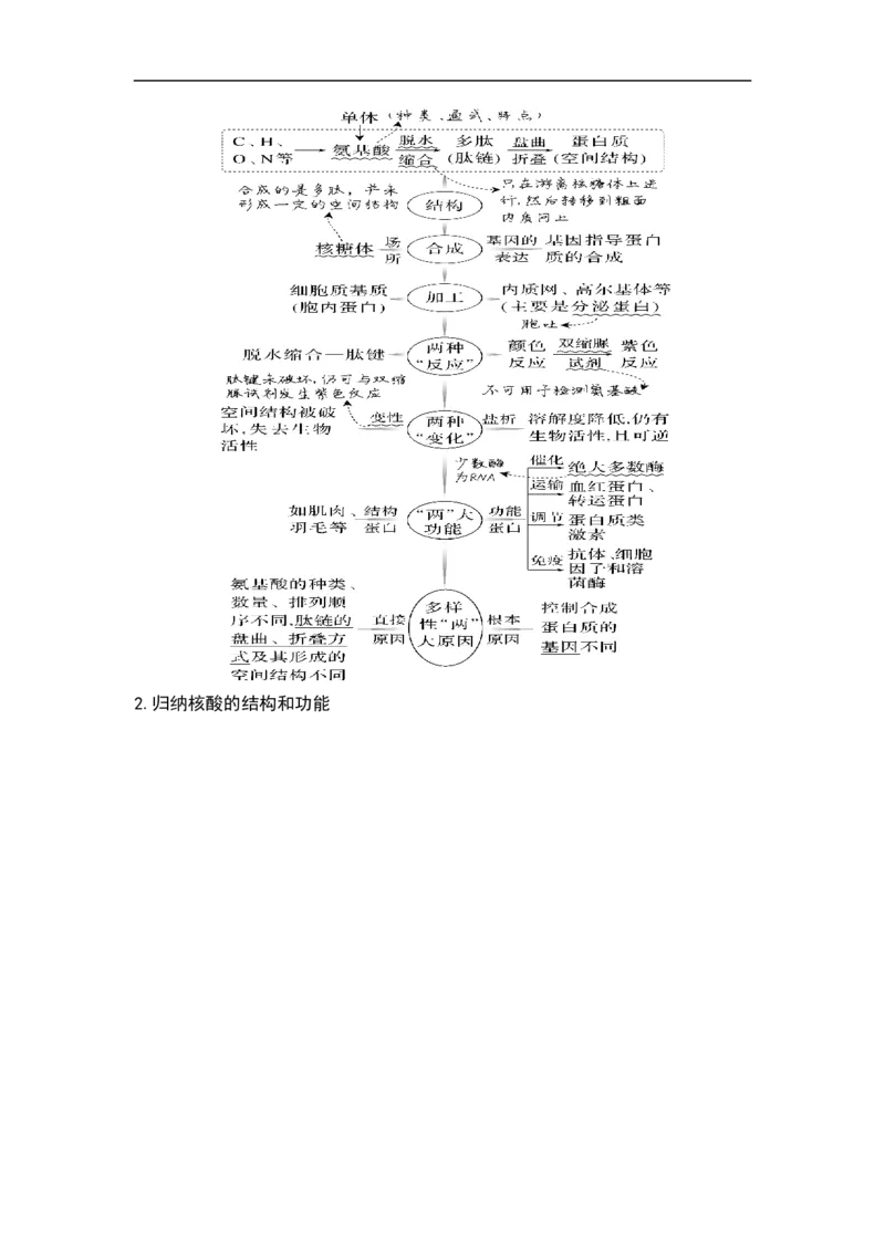 专题一细胞的分子组成、结构和物质运输（原卷版）_新高考复习资料_2023年新高考复习资料_二轮复习_过二轮备战2023年高考生物二轮专题剖析与综合训练（新教材）