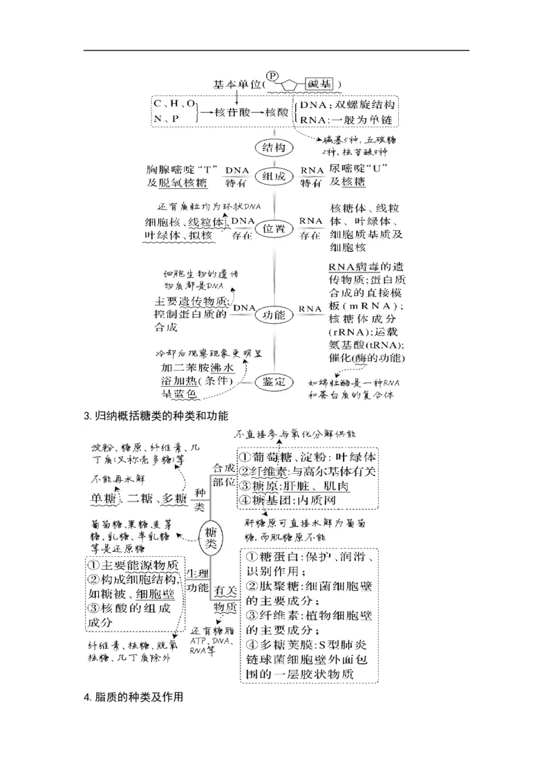 专题一细胞的分子组成、结构和物质运输（原卷版）_新高考复习资料_2023年新高考复习资料_二轮复习_过二轮备战2023年高考生物二轮专题剖析与综合训练（新教材）