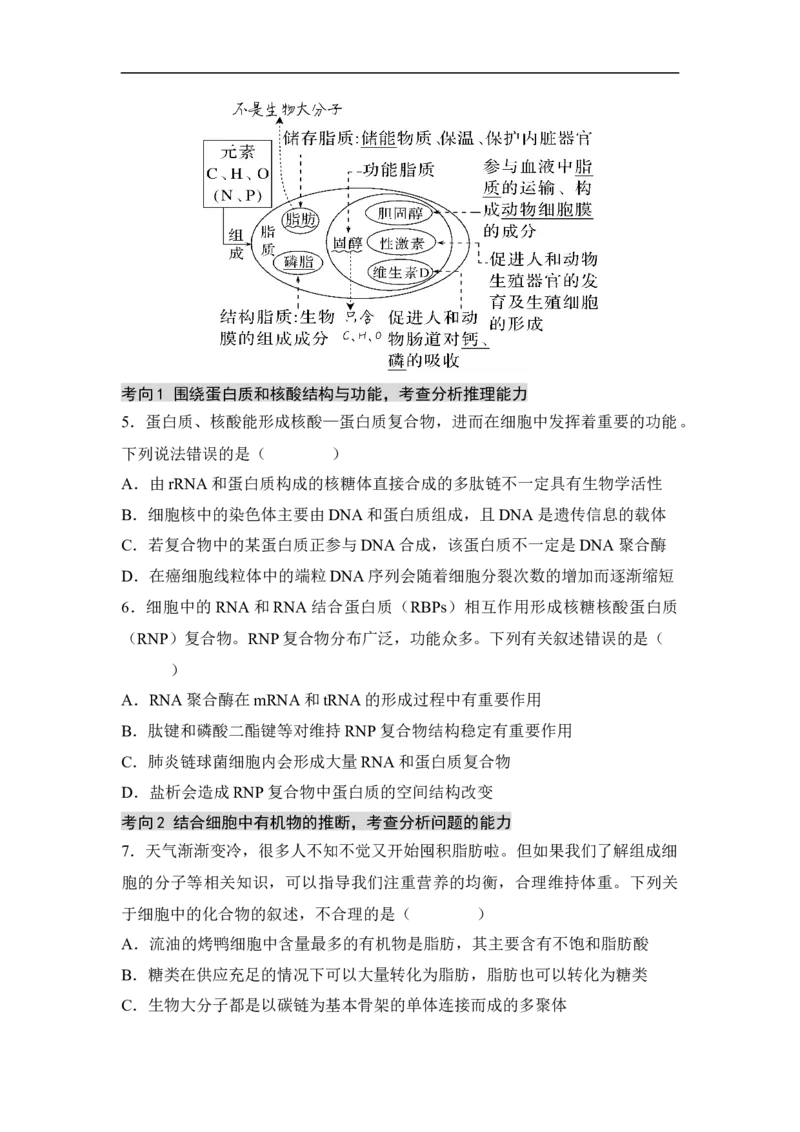 专题一细胞的分子组成、结构和物质运输（原卷版）_新高考复习资料_2023年新高考复习资料_二轮复习_过二轮备战2023年高考生物二轮专题剖析与综合训练（新教材）