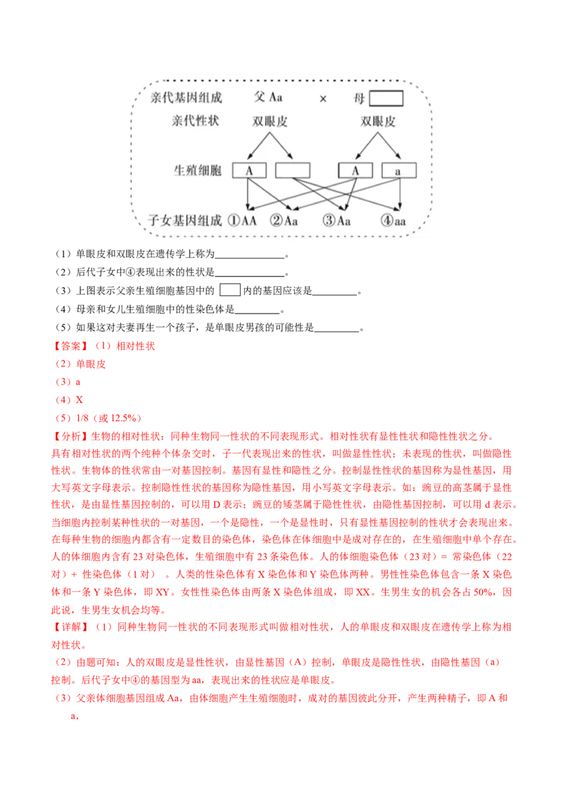 生物（黑龙江哈尔滨卷）（全解全析）_初中全科电子版试卷练习试题_生物_2024中考模拟题生物(1)_一模_生物（黑龙江哈尔滨卷）-2024年中考第一次模拟考试