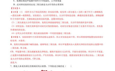 生物（盐城卷）（全解全析）_初中全科电子版试卷练习试题_生物_2024中考模拟题生物(1)_一模_生物（盐城卷）-2024年中考第一次模拟考试