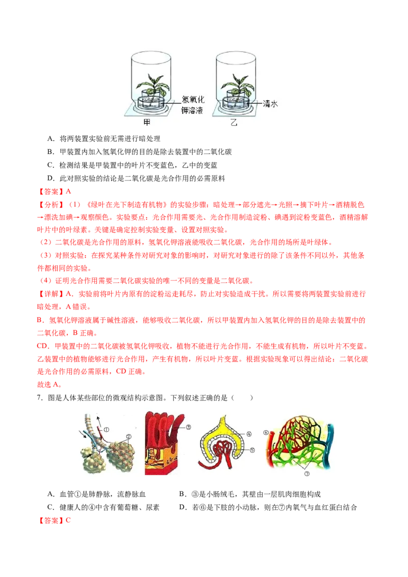 生物（盐城卷）（全解全析）_初中全科电子版试卷练习试题_生物_2024中考模拟题生物(1)_一模_生物（盐城卷）-2024年中考第一次模拟考试