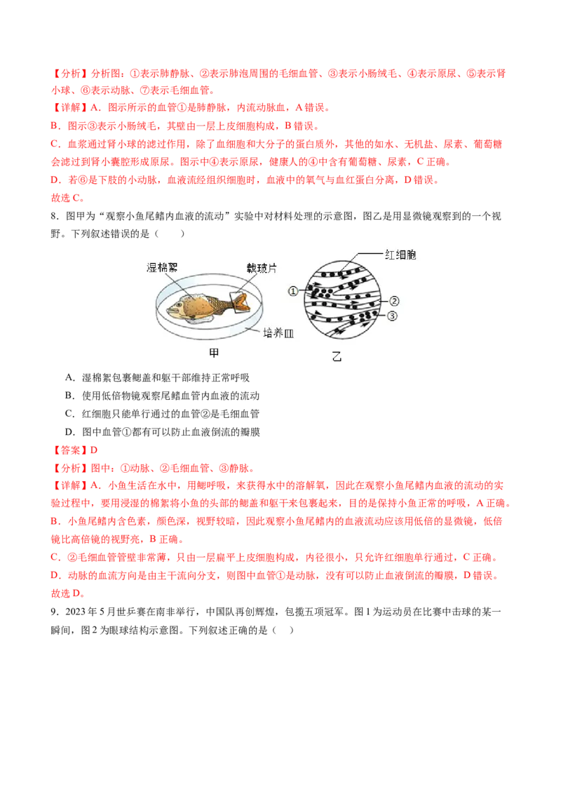 生物（盐城卷）（全解全析）_初中全科电子版试卷练习试题_生物_2024中考模拟题生物(1)_一模_生物（盐城卷）-2024年中考第一次模拟考试