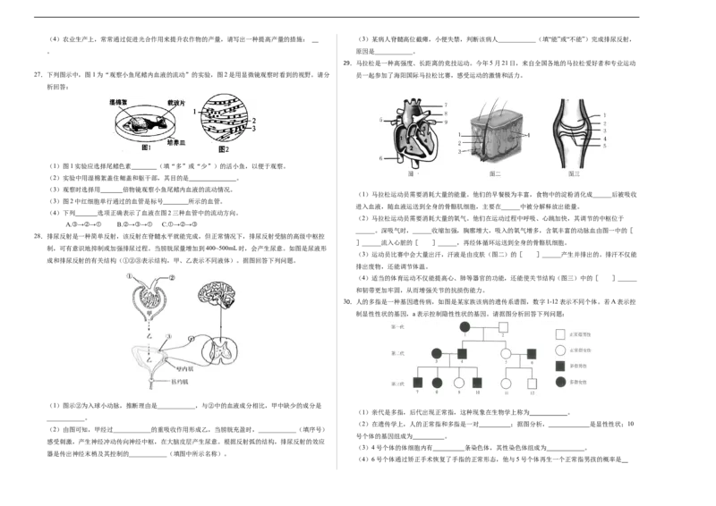 生物（哈尔滨卷）（考试版A3）_初中全科电子版试卷练习试题_生物_2024中考模拟题生物(1)_三模（37套）_生物（哈尔滨卷）