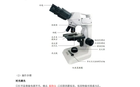 人教版7年级上册生物知识总结（教师版）27页2024秋新版教材_初中全科电子版试卷练习试题_生物_生物人教版7上练习&mdash;24新版已更新_人教生物七年级上知识汇总