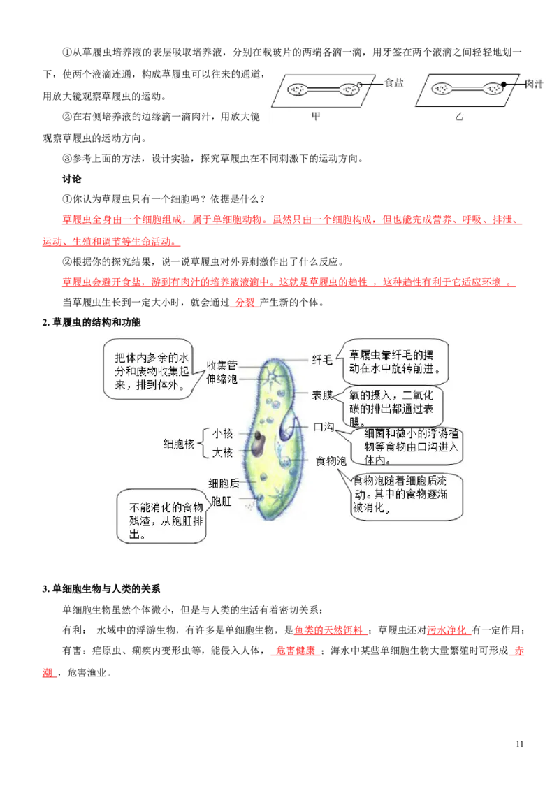 人教版7年级上册生物知识总结（教师版）27页2024秋新版教材_初中全科电子版试卷练习试题_生物_生物人教版7上练习&mdash;24新版已更新_人教生物七年级上知识汇总