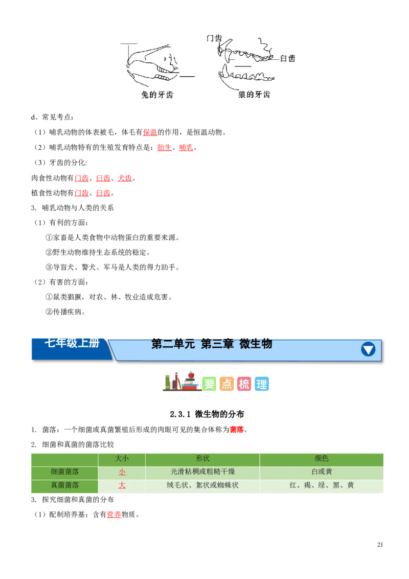 人教版7年级上册生物知识总结（教师版）27页2024秋新版教材_初中全科电子版试卷练习试题_生物_生物人教版7上练习&mdash;24新版已更新_人教生物七年级上知识汇总