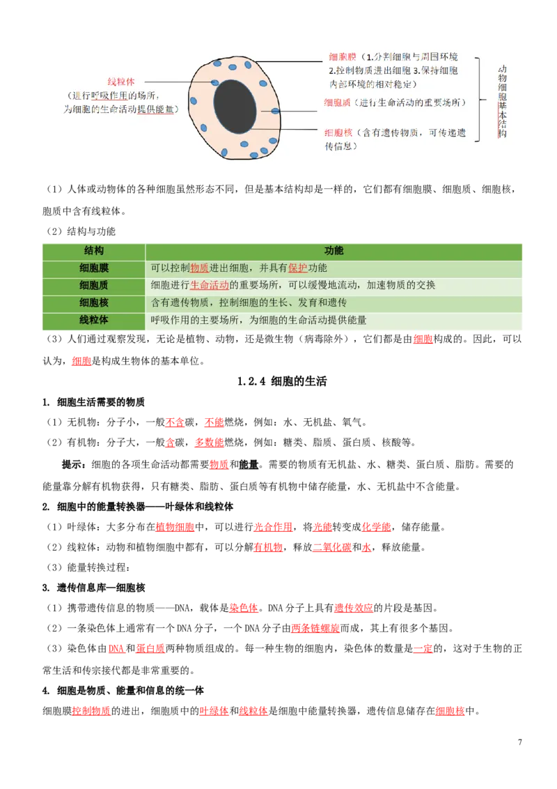 人教版7年级上册生物知识总结（教师版）27页2024秋新版教材_初中全科电子版试卷练习试题_生物_生物人教版7上练习&mdash;24新版已更新_人教生物七年级上知识汇总