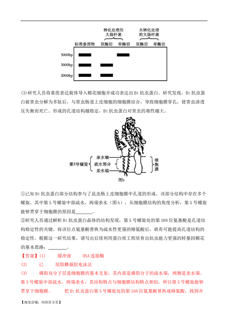 二轮题型突破卷（3）（解析版）_新高考复习资料_2024年新高考复习资料_二轮复习资料_2024年高考生物二轮热点题型归纳与变式演练（新高考通用）_教师版（含答案解析）