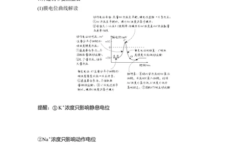 专题六个体生命活动的调节（解析版）_新高考复习资料_2023年新高考复习资料_二轮复习_过二轮备战2023年高考生物二轮专题剖析与综合训练（新教材）