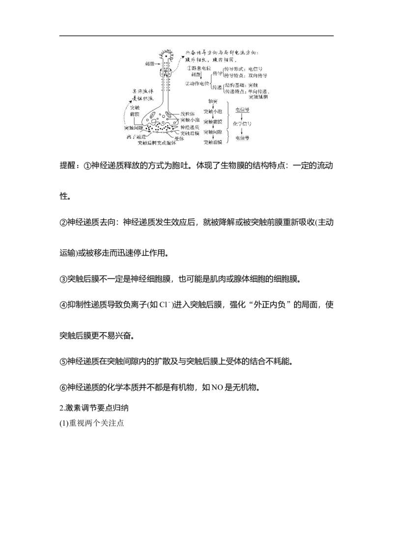 专题六个体生命活动的调节（解析版）_新高考复习资料_2023年新高考复习资料_二轮复习_过二轮备战2023年高考生物二轮专题剖析与综合训练（新教材）