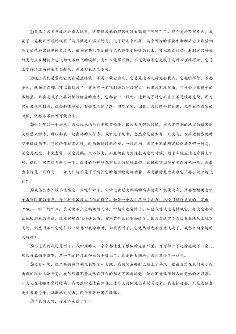 第17课动物笑谈(基础训练)(原卷版)_初中全科电子版试卷练习试题_语文_7上初中部编版语文练习、试卷_部编语文七年级上课时练习（048份）