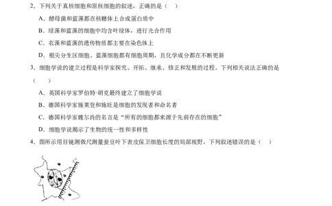 单元检测卷01细胞的概述及其分子组成（原卷版）_新高考复习资料_2025年新高考资料_2025年高考生物一轮复习考点通关卷（新高考通用）
