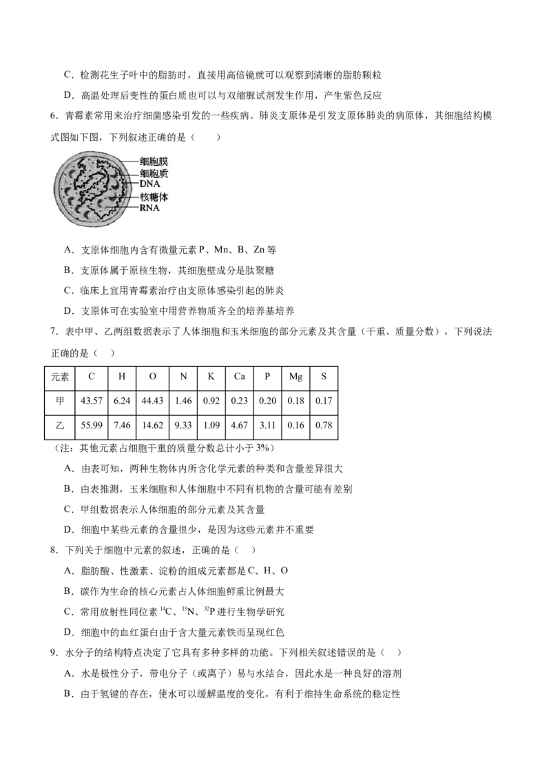 单元检测卷01细胞的概述及其分子组成（原卷版）_新高考复习资料_2025年新高考资料_2025年高考生物一轮复习考点通关卷（新高考通用）