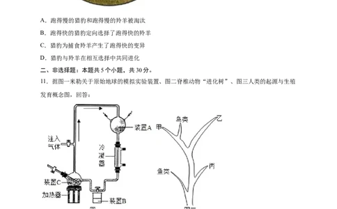 第三单元生命起源和生物进化（提分小卷）-单元测试（人教版）（原卷版）_初中全科电子版试卷练习试题_生物_生物8下练习_人教生物8年级下单元试卷38份