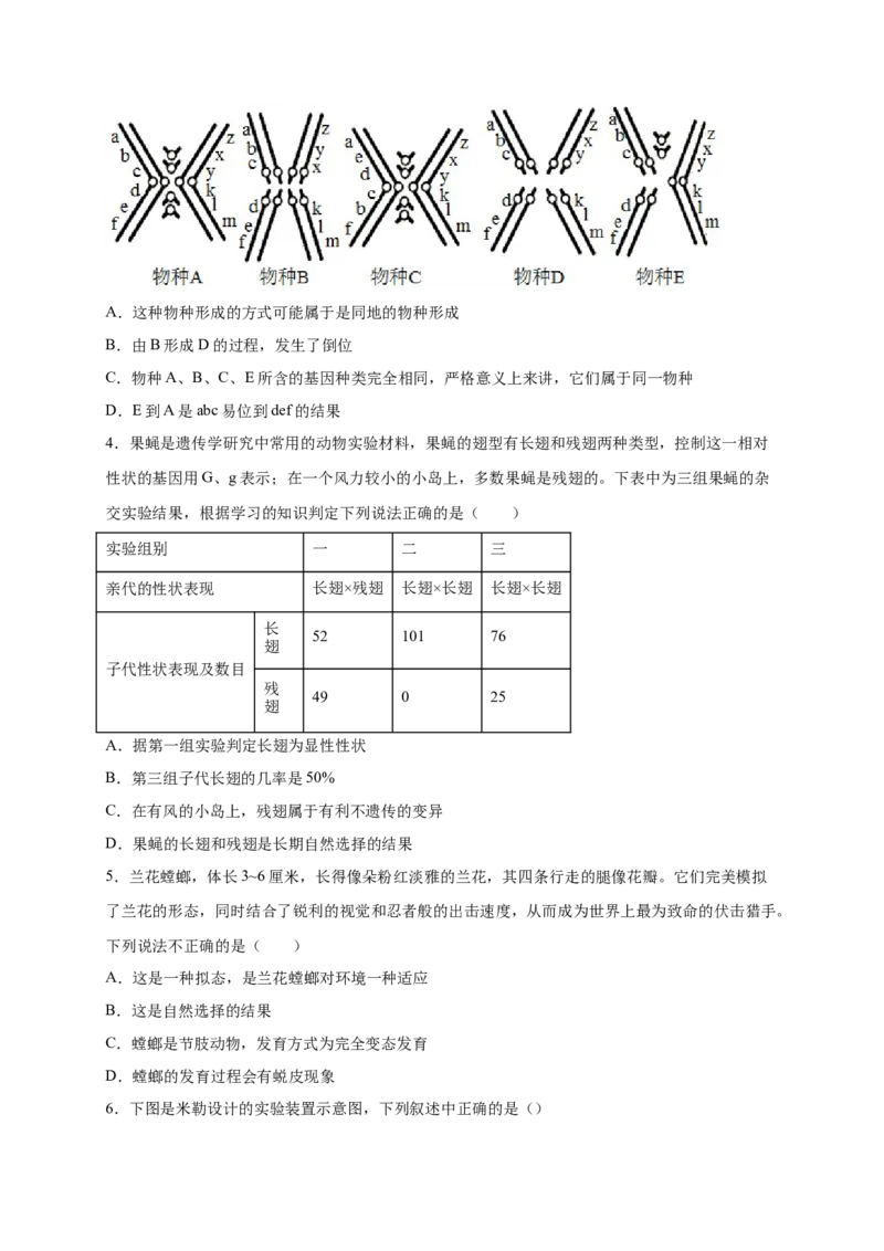 第三单元生命起源和生物进化（提分小卷）-单元测试（人教版）（原卷版）_初中全科电子版试卷练习试题_生物_生物8下练习_人教生物8年级下单元试卷38份