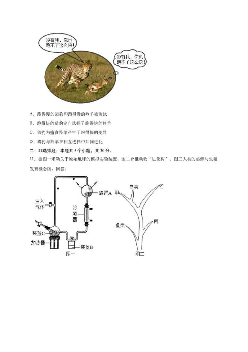 第三单元生命起源和生物进化（提分小卷）-单元测试（人教版）（原卷版）_初中全科电子版试卷练习试题_生物_生物8下练习_人教生物8年级下单元试卷38份