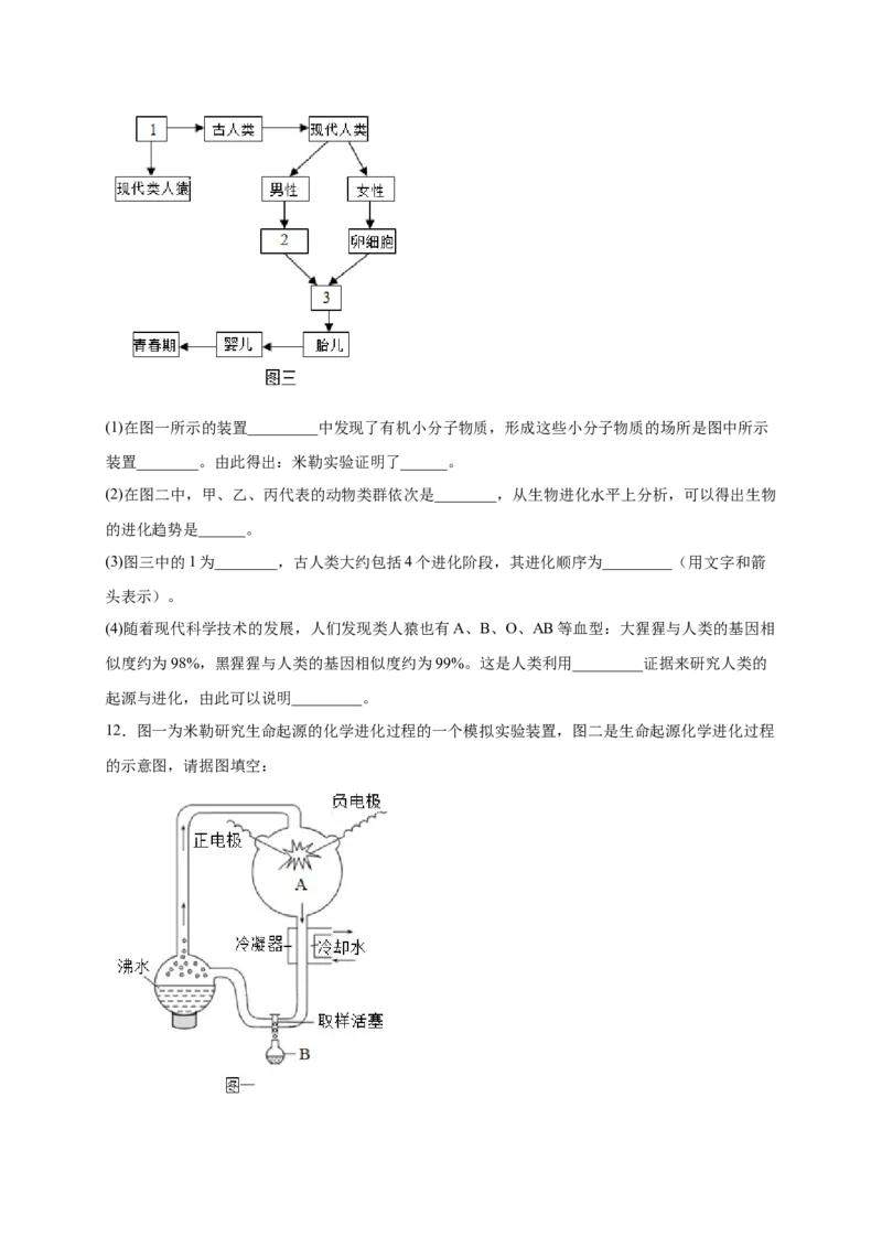 第三单元生命起源和生物进化（提分小卷）-单元测试（人教版）（原卷版）_初中全科电子版试卷练习试题_生物_生物8下练习_人教生物8年级下单元试卷38份