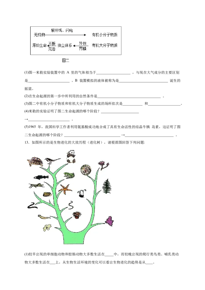 第三单元生命起源和生物进化（提分小卷）-单元测试（人教版）（原卷版）_初中全科电子版试卷练习试题_生物_生物8下练习_人教生物8年级下单元试卷38份