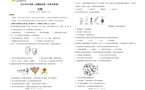 生物（吉林长春卷）（考试版A3）_初中全科电子版试卷练习试题_生物_2024中考模拟题生物(1)_一模_生物（吉林长春卷）-2024年中考第一次模拟考试