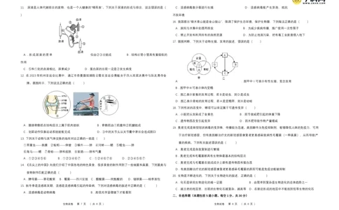 生物（吉林长春卷）（考试版A3）_初中全科电子版试卷练习试题_生物_2024中考模拟题生物(1)_一模_生物（吉林长春卷）-2024年中考第一次模拟考试