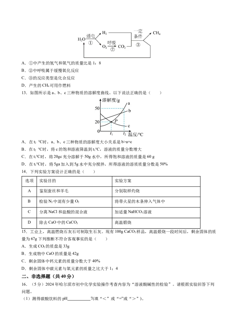 化学（哈尔滨卷）（考试版A4）_初中全科电子版试卷练习试题_化学_2024中考模拟题化学(1)_三模（36套）_化学（哈尔滨卷）