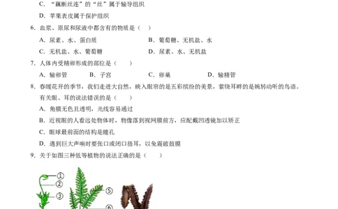 生物（河南卷）（考试版A4）_初中全科电子版试卷练习试题_生物_2024中考模拟题生物(1)_一模_生物（河南卷）-2024年中考第一次模拟考试