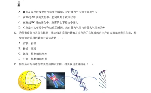 生物（河南卷）（考试版A4）_初中全科电子版试卷练习试题_生物_2024中考模拟题生物(1)_一模_生物（河南卷）-2024年中考第一次模拟考试