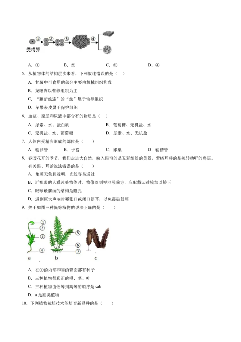 生物（河南卷）（考试版A4）_初中全科电子版试卷练习试题_生物_2024中考模拟题生物(1)_一模_生物（河南卷）-2024年中考第一次模拟考试