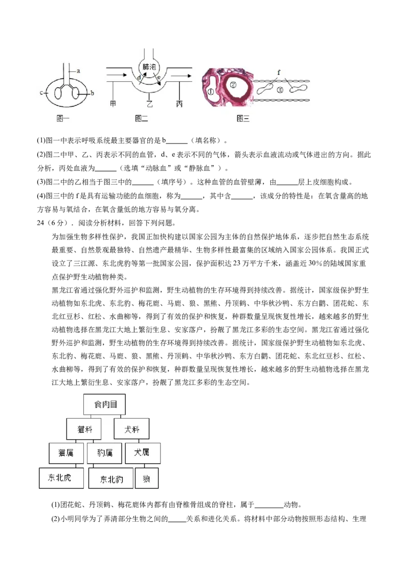 生物（河南卷）（考试版A4）_初中全科电子版试卷练习试题_生物_2024中考模拟题生物(1)_一模_生物（河南卷）-2024年中考第一次模拟考试