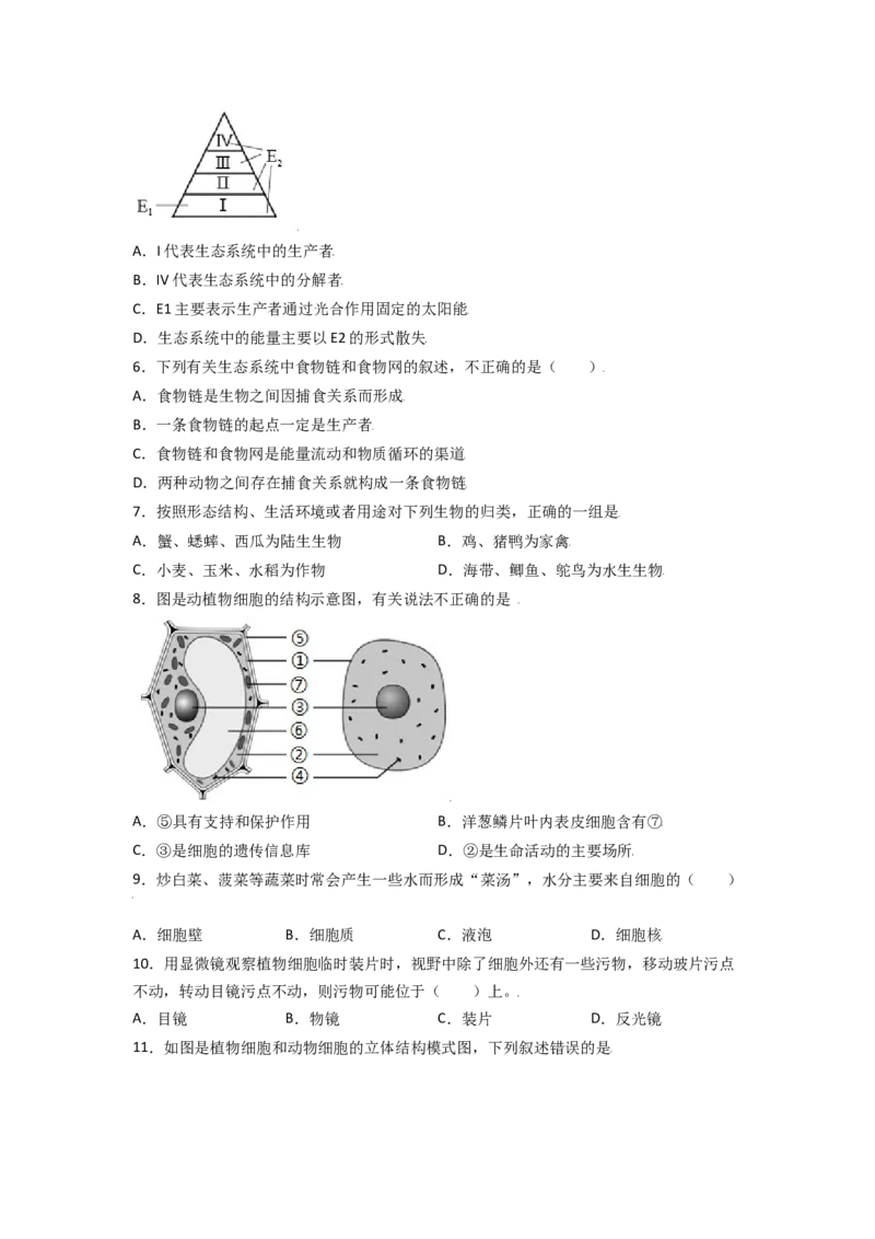 期中测试卷02-（人教版）（原卷版）_初中全科电子版试卷练习试题_生物_生物人教版7上练习&mdash;24新版已更新_人教生物7年级上期中试卷07份