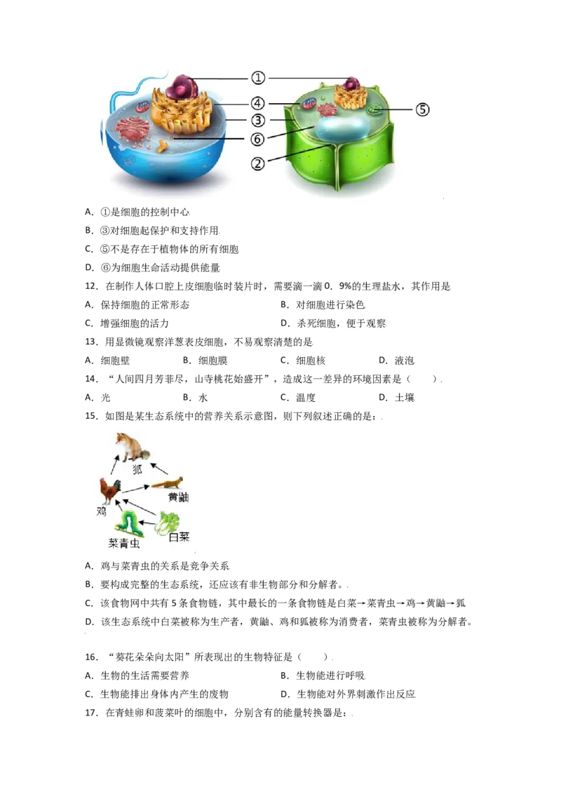 期中测试卷02-（人教版）（原卷版）_初中全科电子版试卷练习试题_生物_生物人教版7上练习&mdash;24新版已更新_人教生物7年级上期中试卷07份