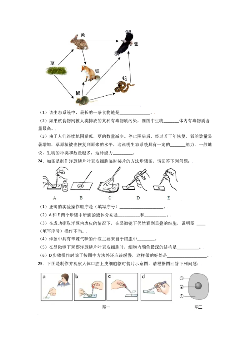 期中测试卷02-（人教版）（原卷版）_初中全科电子版试卷练习试题_生物_生物人教版7上练习&mdash;24新版已更新_人教生物7年级上期中试卷07份