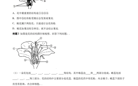 必考点18开花和结果-（人教版）（原卷版）_初中全科电子版试卷练习试题_生物_生物人教版7上练习&mdash;24新版已更新_人教生物7年级上专项练习28份