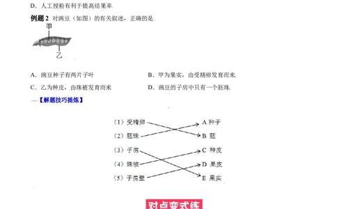 必考点18开花和结果-（人教版）（原卷版）_初中全科电子版试卷练习试题_生物_生物人教版7上练习&mdash;24新版已更新_人教生物7年级上专项练习28份