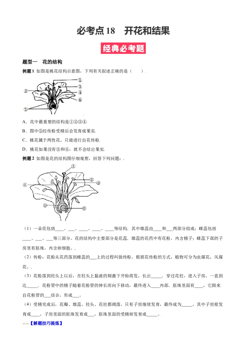 必考点18开花和结果-（人教版）（原卷版）_初中全科电子版试卷练习试题_生物_生物人教版7上练习&mdash;24新版已更新_人教生物7年级上专项练习28份