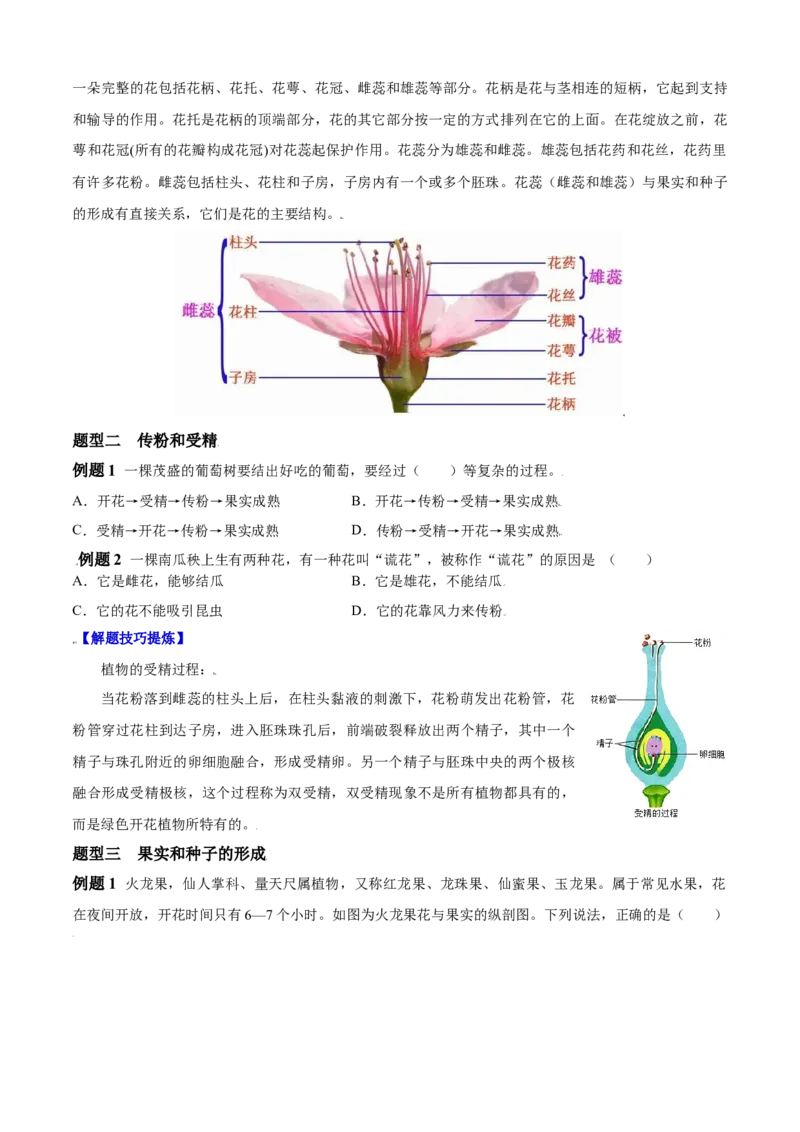 必考点18开花和结果-（人教版）（原卷版）_初中全科电子版试卷练习试题_生物_生物人教版7上练习&mdash;24新版已更新_人教生物7年级上专项练习28份