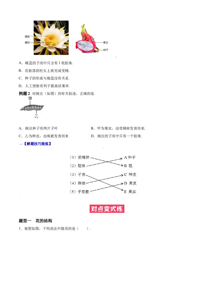 必考点18开花和结果-（人教版）（原卷版）_初中全科电子版试卷练习试题_生物_生物人教版7上练习&mdash;24新版已更新_人教生物7年级上专项练习28份