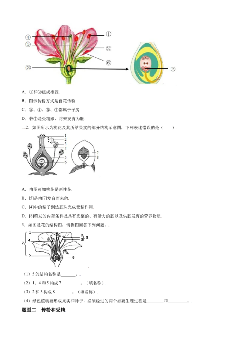 必考点18开花和结果-（人教版）（原卷版）_初中全科电子版试卷练习试题_生物_生物人教版7上练习&mdash;24新版已更新_人教生物7年级上专项练习28份