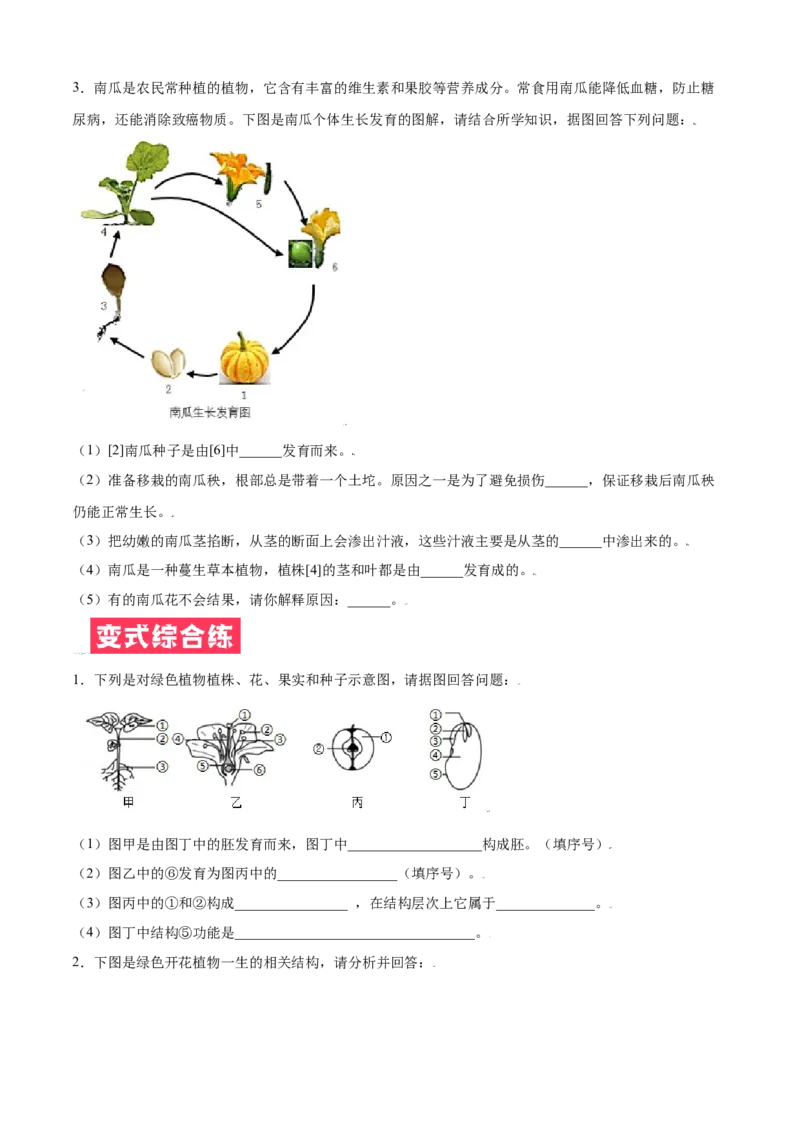 必考点18开花和结果-（人教版）（原卷版）_初中全科电子版试卷练习试题_生物_生物人教版7上练习&mdash;24新版已更新_人教生物7年级上专项练习28份