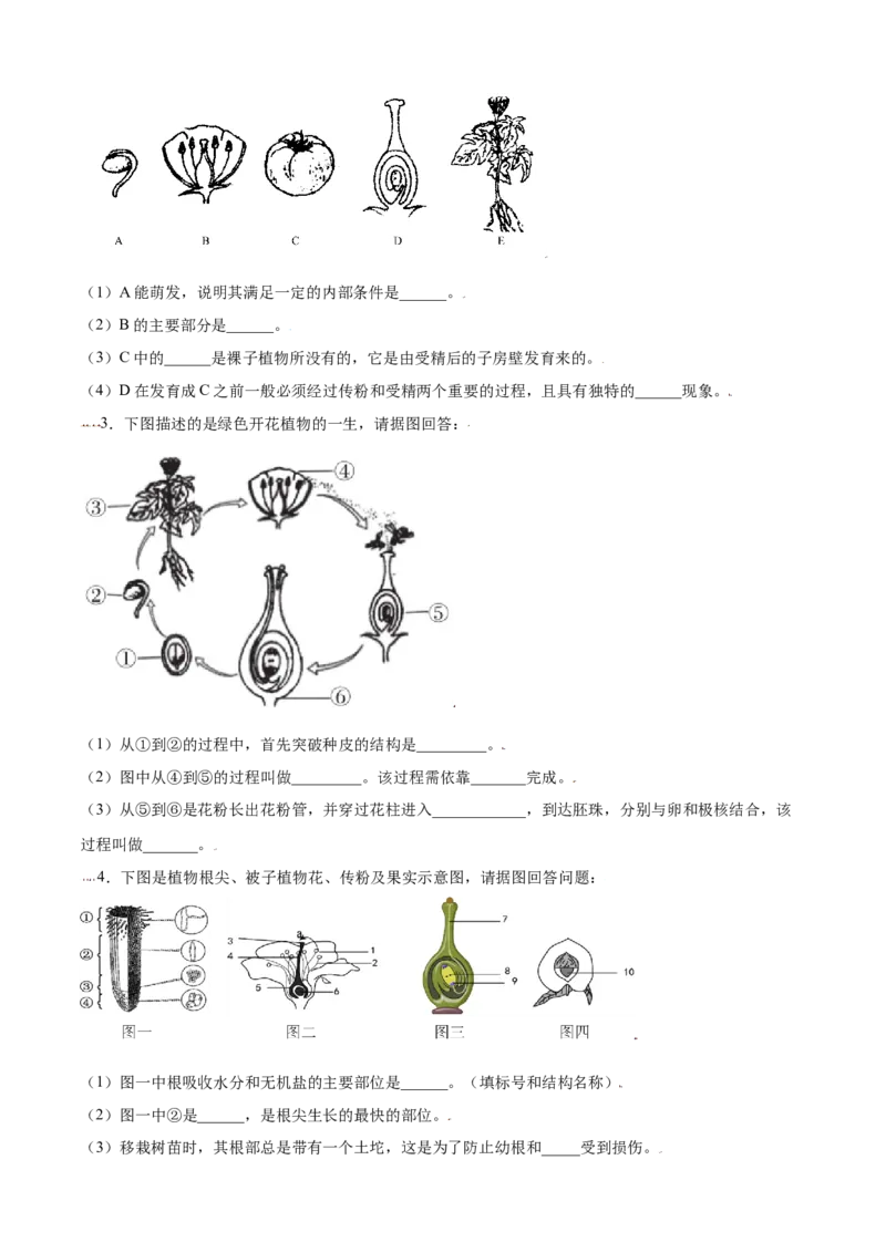 必考点18开花和结果-（人教版）（原卷版）_初中全科电子版试卷练习试题_生物_生物人教版7上练习&mdash;24新版已更新_人教生物7年级上专项练习28份