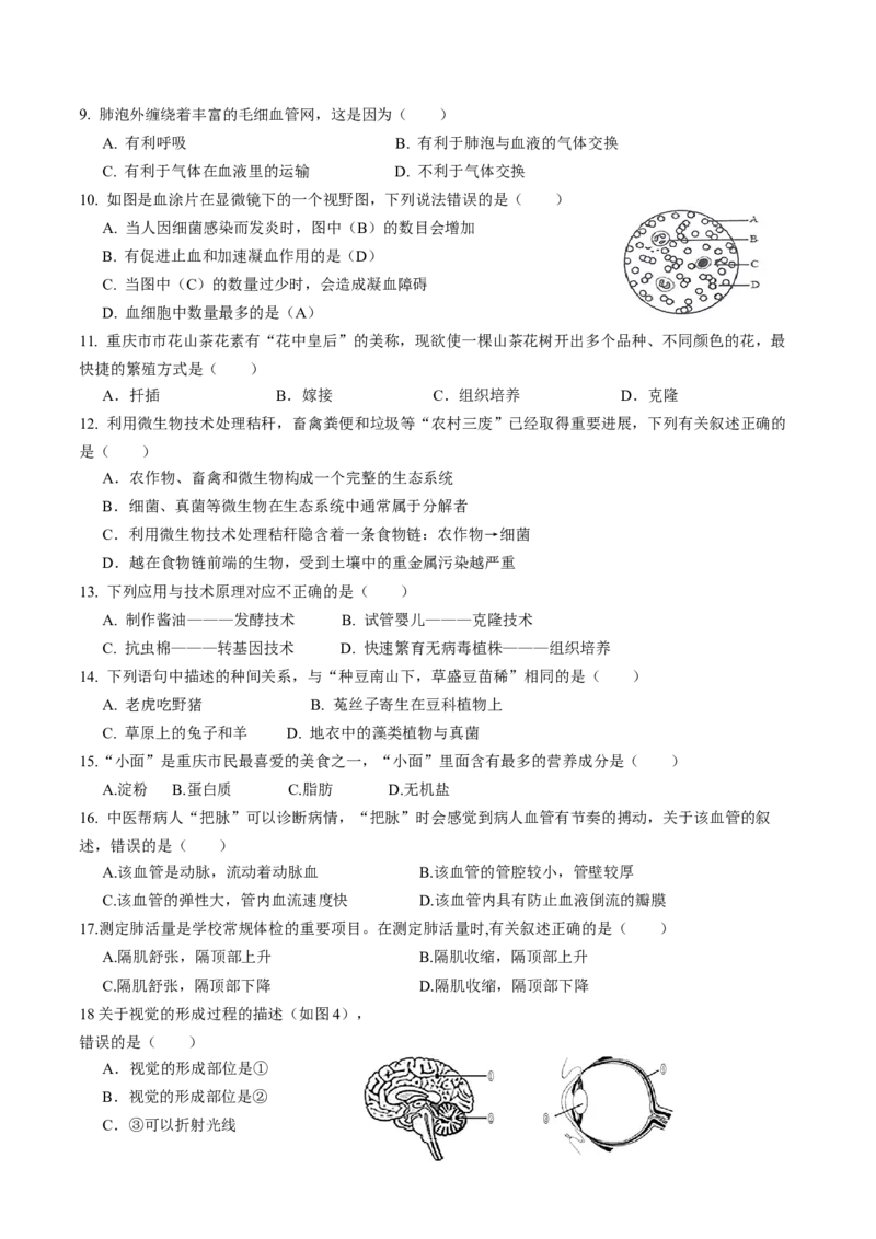 生物（重庆卷）（考试版A4）_初中全科电子版试卷练习试题_生物_2024中考模拟题生物(1)_一模_生物（重庆卷）-2024年中考第一次模拟考试