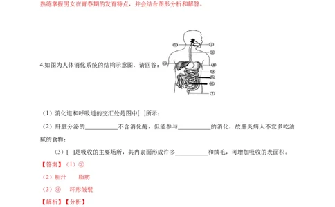 特训06填空题（20题）-（尖子生专用）（解析版）_初中全科电子版试卷练习试题_生物_生物人教版7下练习_人教生物7年级下专项练习16份