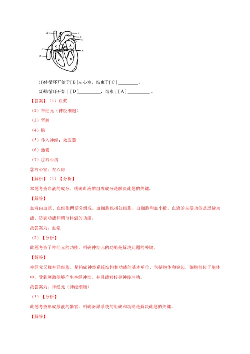 特训06填空题（20题）-（尖子生专用）（解析版）_初中全科电子版试卷练习试题_生物_生物人教版7下练习_人教生物7年级下专项练习16份