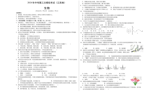 生物（江西卷）（考试版A3）_初中全科电子版试卷练习试题_生物_2024中考模拟题生物(1)_三模（37套）_生物（江西卷）