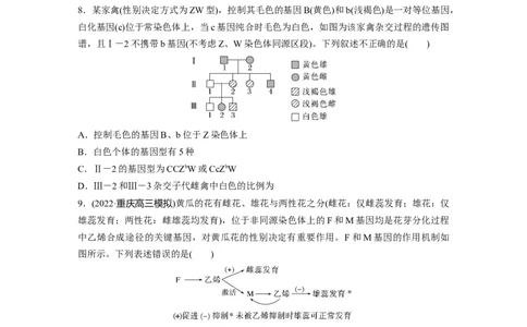二轮专题强化练　训练4　遗传的基本规律和人类遗传病_通用版（老高考）复习资料_2023年复习资料_二轮复习_2023年高考生物二轮复习讲义+课件（全国版）_学生版_二轮专题强化练